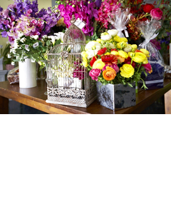 more on Florist Choice