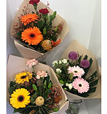 more on A Sweet Bunch