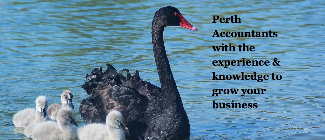 Perth Business Accountant for Copper smelting refining operations