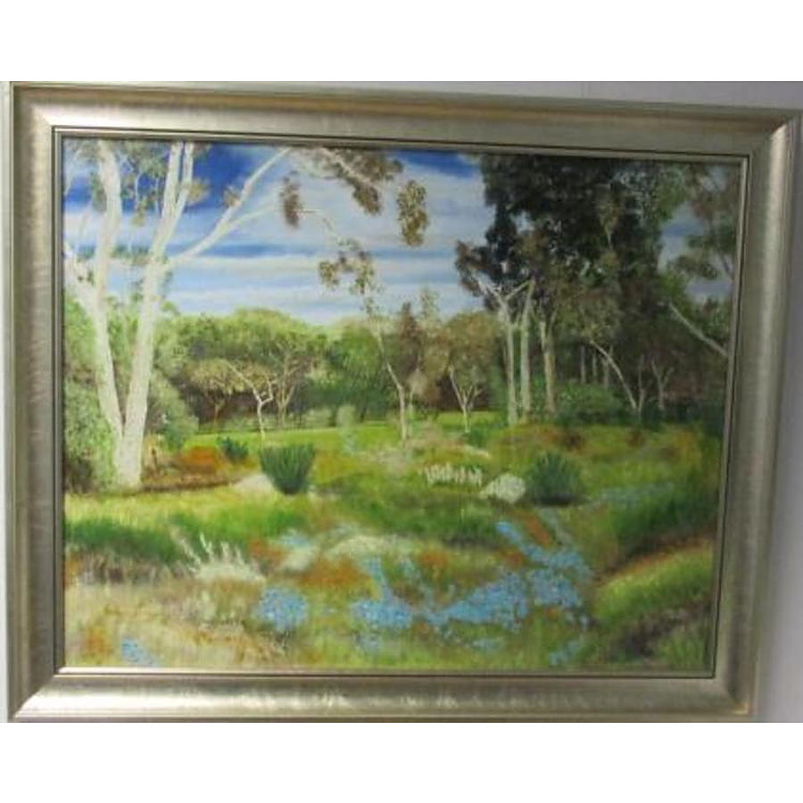 Moora Country Scene WA,  Achinos in blue bloom - Image 1