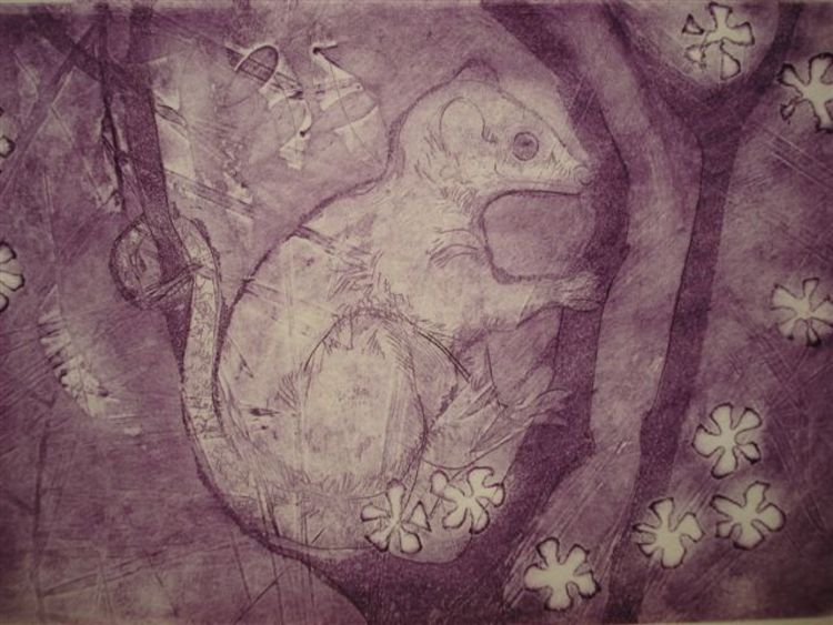 Possum - Lilac - Image 1