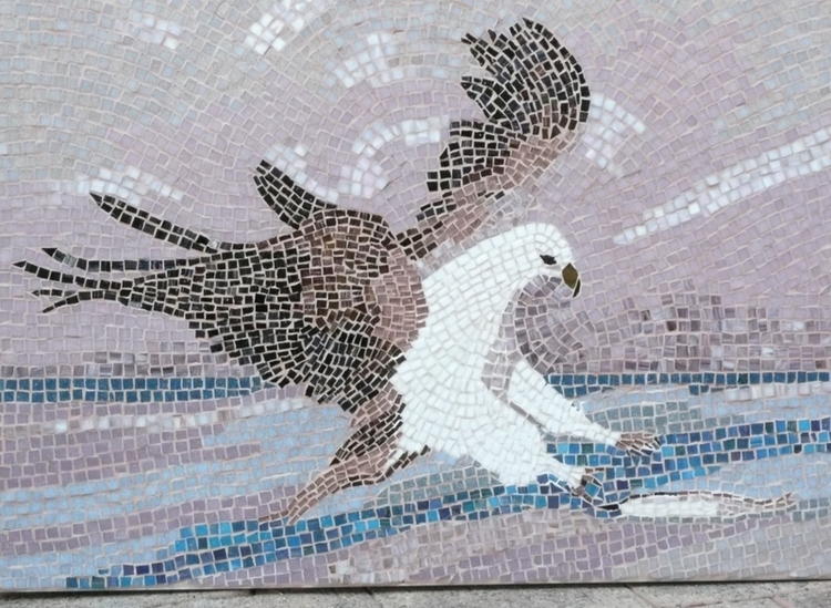 Sea Eagles - Image 1