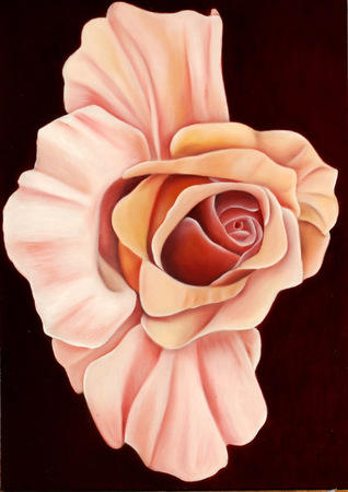 Julia's Rose - Image 1