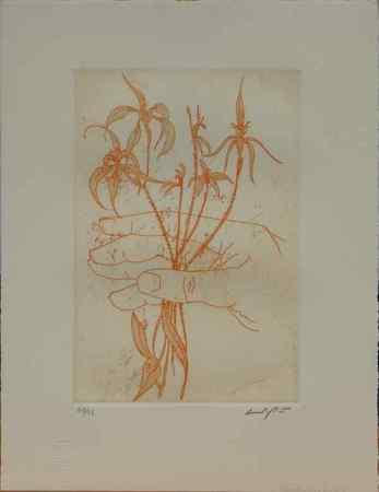 Hand and Orchid - Image 1