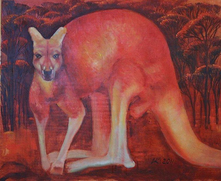 Red Kangaroo - Image 1