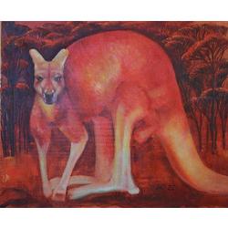 more on Red Kangaroo