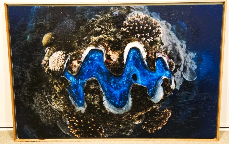 View works by RICH MILLS