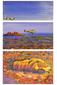 more on Uluru Flying