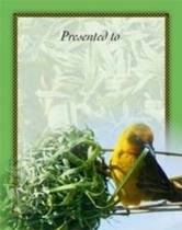 more on African Safari Large (4)