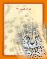 more on African Safari Small (8)