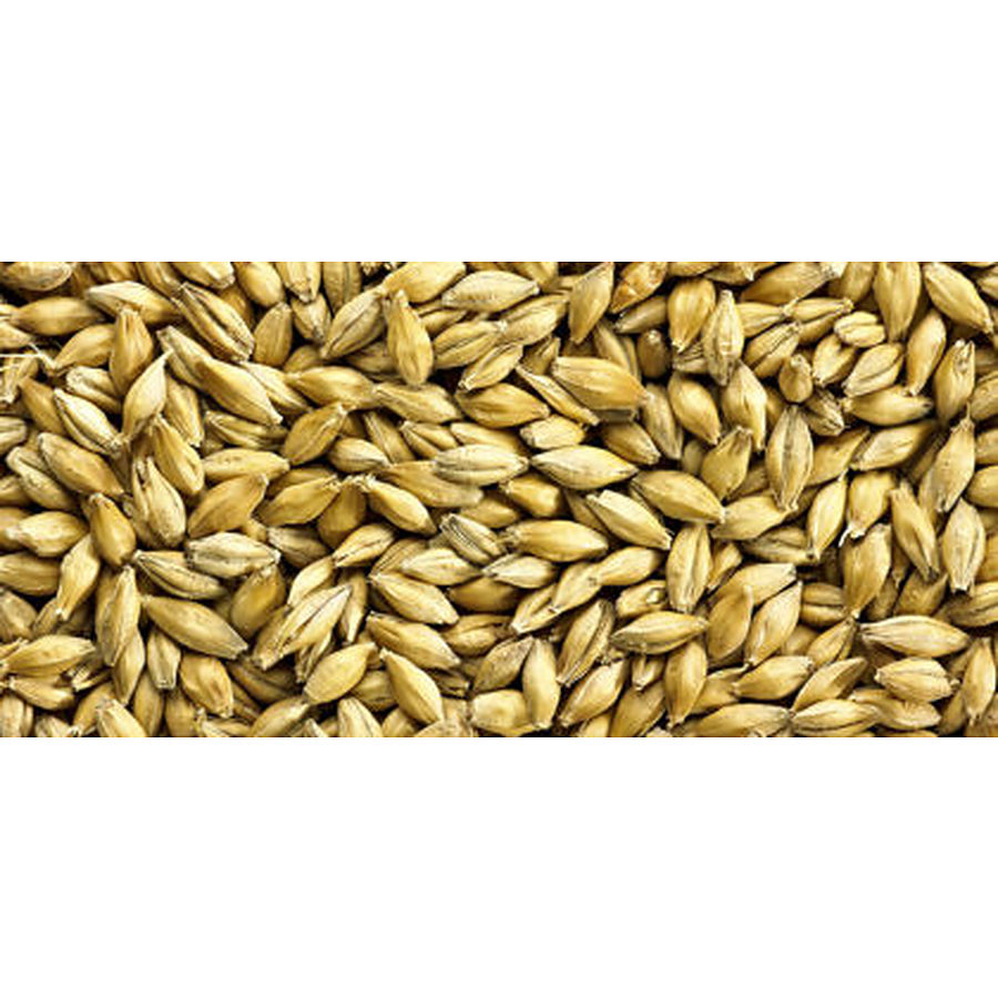 Traditional Ale Malted Grain 4Kg - Image 1