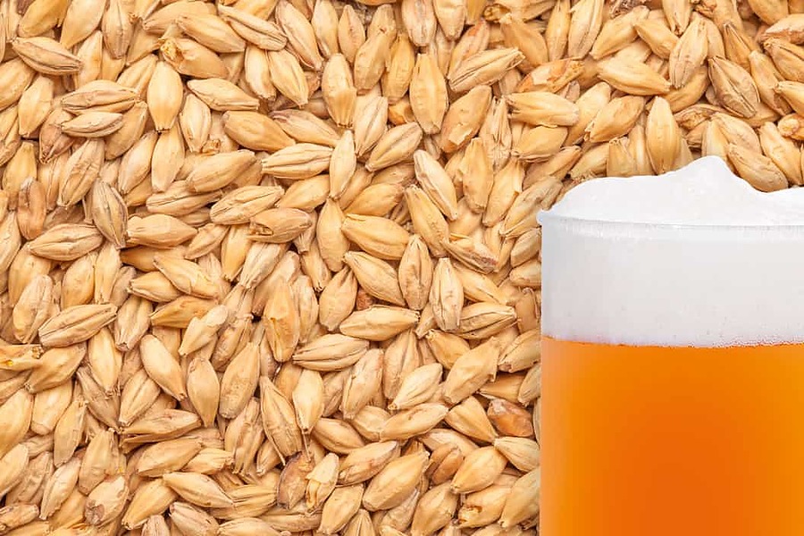 Unmalted Raw Wheat Grain per kg - Image 1