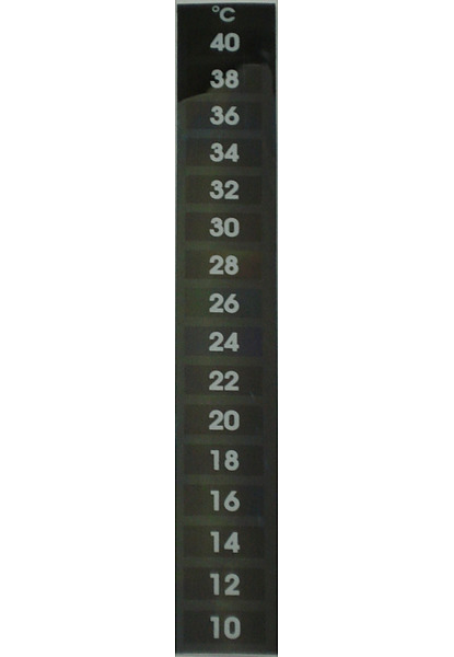 Self Adhesive Digital Thermometer - Extra Large - Image 1