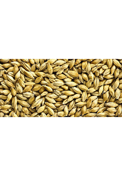 Traditional Ale Malted Grain 4Kg - Image 1
