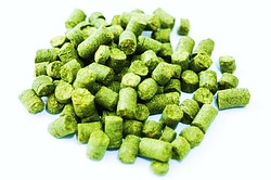 more on Nelson Sauvin Hops 25G
