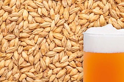 more on Pale Ale Malted Grain per kg