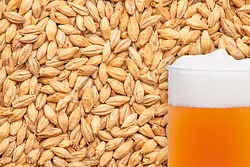 more on Wheat Malted Grain per kg