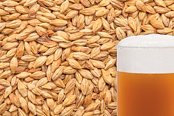 more on American Ale Malted Grain per kg