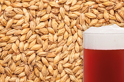more on Redback Malted Grain per kg