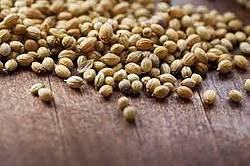 more on Coriander Seed 500g