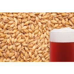 more on Red X Carared Malted Grain 25Kg