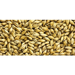 more on Aromatic Malted Grain - 25Kg
