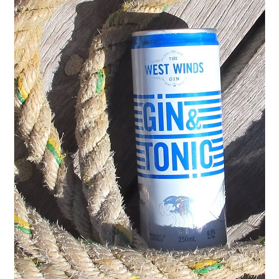 West Winds Gin And Tonic Can 250ml West Winds Gin And Tonic Can 250ml - Image 1