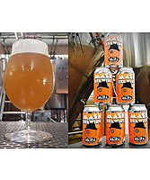 more on Mash Neipa 3.5% Can