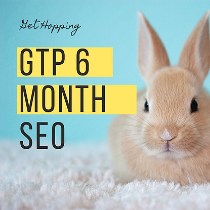 Search Engine Optimisation 2020 Style - $495 per month plus GST over 6 months - Image