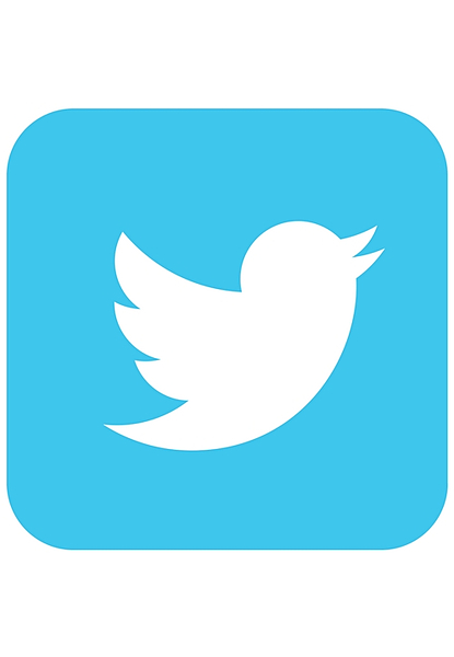 Social Media Marketing - Twitter Services - Image