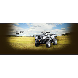 Territory 500 Quad Bike