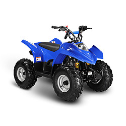 Kanga 110 Small Youth Quad Bike