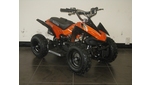 Ballistik Wildboy 49cc Quad Bike Ballistik Wildboy 49cc Quad Bike - Image