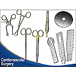 Cardiovascular Surgery and Cardiothorax Surgery Category Image