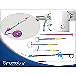 Gynecology and Obstetrics Category Image