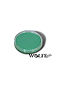 Wolfe Makeup Essential Colours - Sea Green - 064