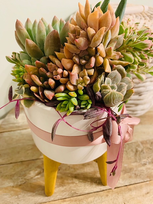 1 x -13cm -bowl-l with -beautiful -wooden -base - - Image 1