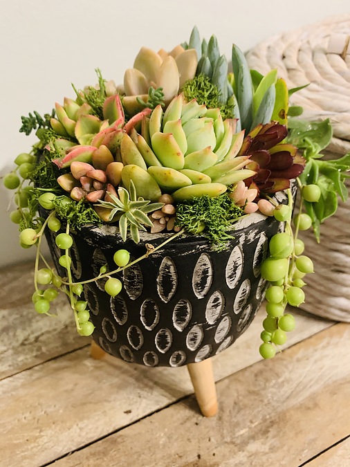 Sunshine Succulents-- Rustic bowl with wooden base - - Image 1
