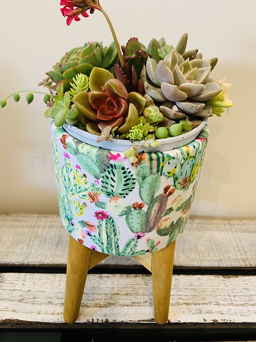 Sunshine Succulents - cactus print on bowl 18cm in height - - Image 3