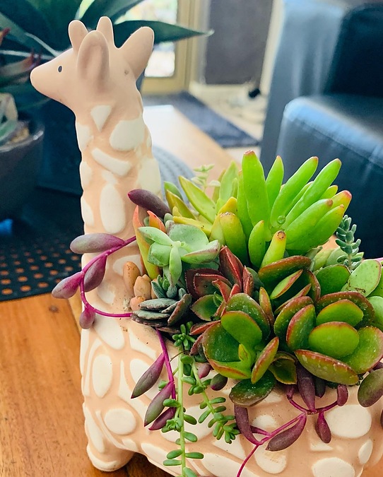 Sunshine giraffe 13cm in length and 12cm height - - Image 2