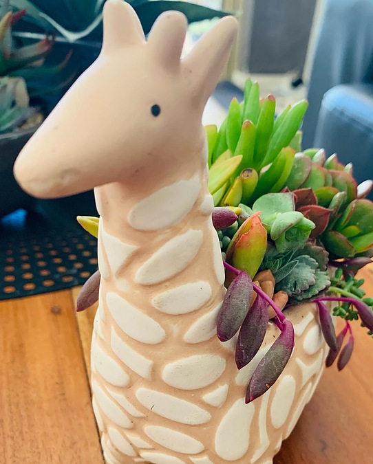 Sunshine giraffe 13cm in length and 12cm height - - Image 3