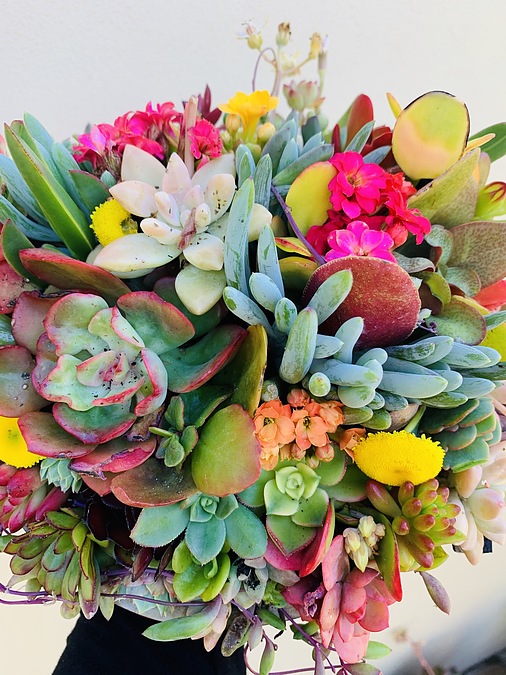 Sunshine Succulents-Urban cement bowl 23cm .@ - Image 1