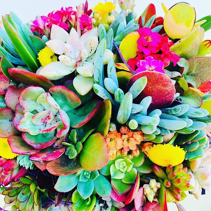 Sunshine Succulents-Urban cement bowl 23cm .@ - Image 2