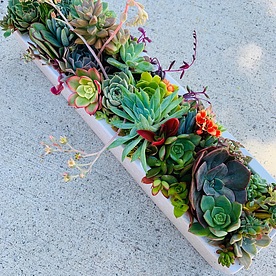 more on Sunshine Succulents- white -table -runner- 50cm -