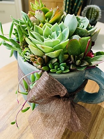 more on Sunshine Succulents rustic aqua succulent bowl 14cm -