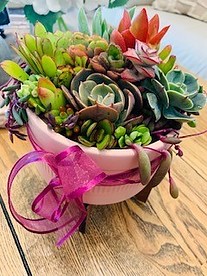 more on Sunshine Succulents Pink succulent bowl with wooden base 13cm