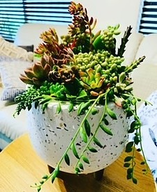 more on Sunshine Succulents Terrazzo succulent bowl with wooden legs 18cm