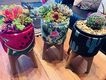 more on -Sunshine Succulents - funky pots with succulents -
