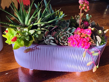 more on Sunshine Succulents lavender rectangular succulent arrangement 18cm -