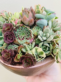 more on Sunshine Succulents-rose gold 13cm bowl with mini feet -